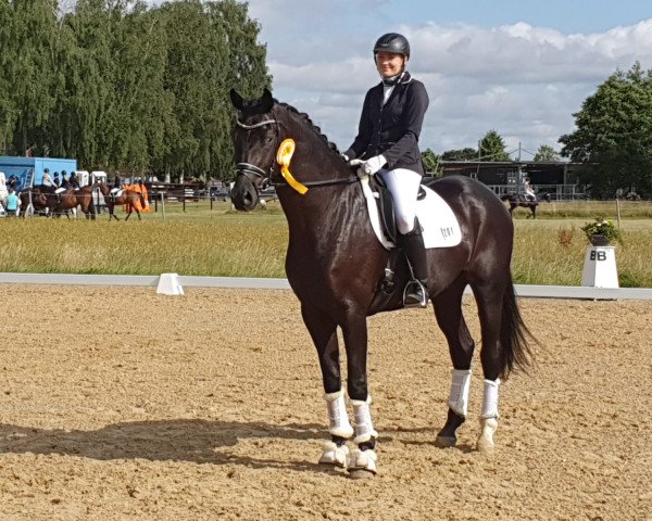 horse Inspektor Barnaby (Westphalian, 2018, from Asgard's Ibiza)