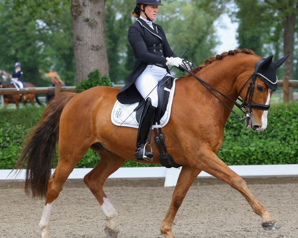 Kim Thien Dijkmeijer