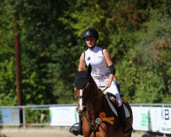 broodmare Carry my soul (Holsteiner, 2009, from Cancara)
