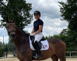 Dressurpferd Escort Elly (Westfale, 2019, von Escolar)