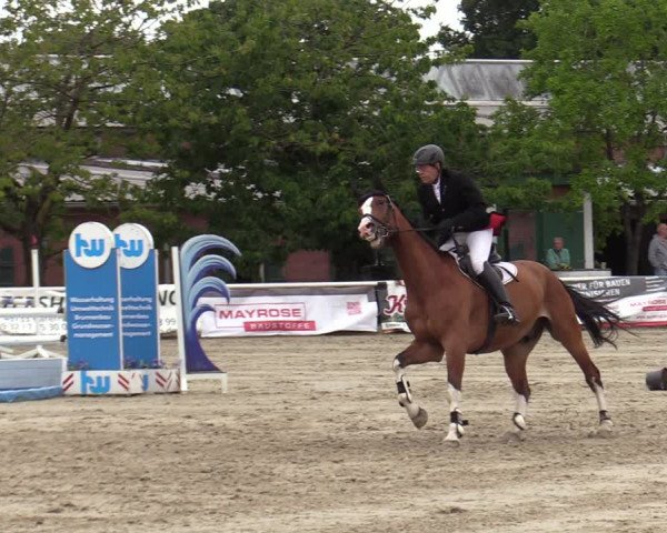Reitturnier Haren-Raken 2022