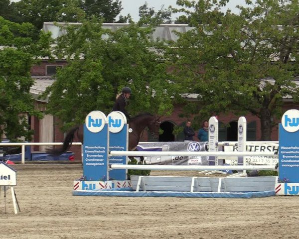 Reitturnier Haren-Raken 2022