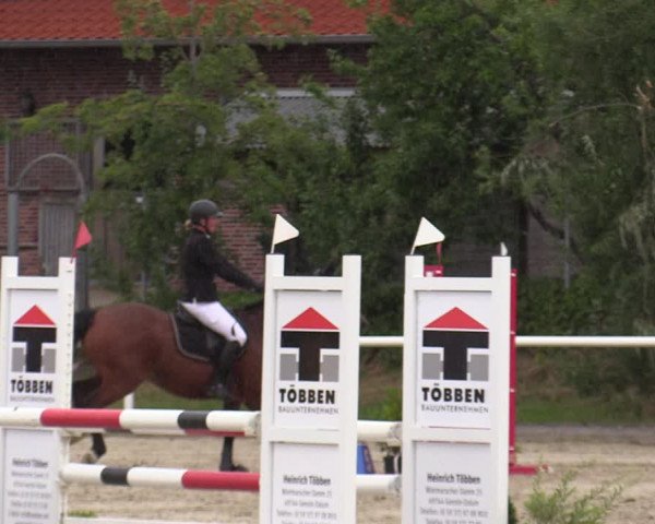 Reitturnier Haren-Raken 2022
