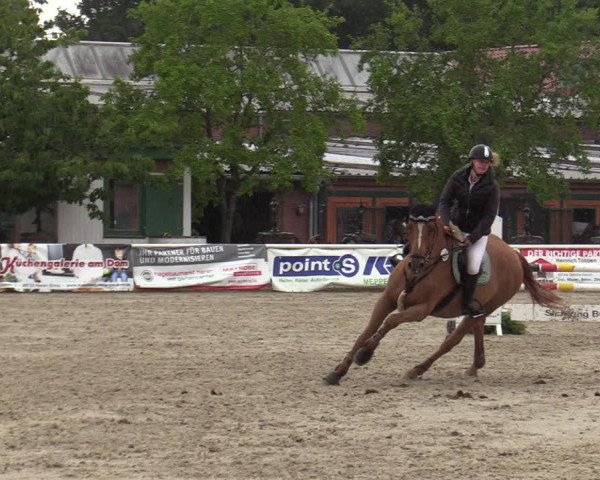 Reitturnier Haren-Raken 2022