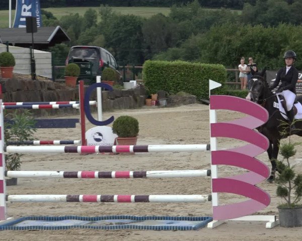 Reitturnier Lindlar-Süttenbach 2022
