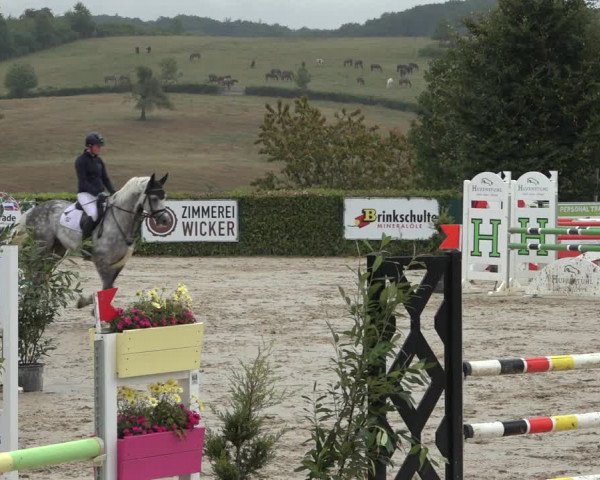 Reitturnier Lindlar-Süttenbach 2022