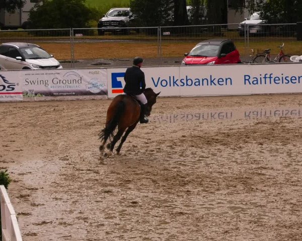 Reitturnier Redefin 2022