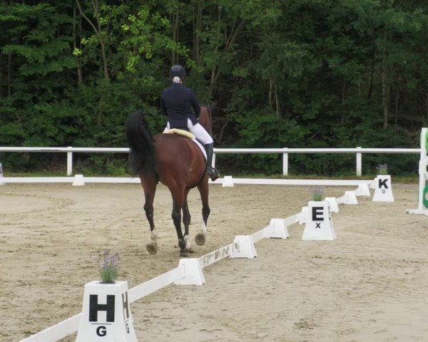 Reitturnier Hünfelden-Kirberg 2022