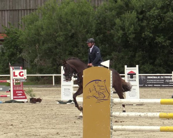 Reitturnier Haren-Raken 2022