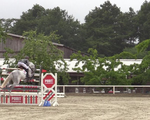 Reitturnier Haren-Raken 2022