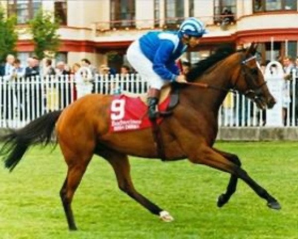 broodmare Salsabil xx (Thoroughbred, 1987, from Sadler's Wells xx)