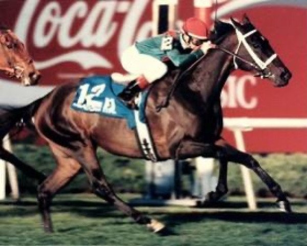 broodmare Kirov Premiere xx (Thoroughbred, 1990, from Sadler's Wells xx) broodmare Kirov Premiere xx (Thoroughbred, 1990, from Sadler's Wells xx)