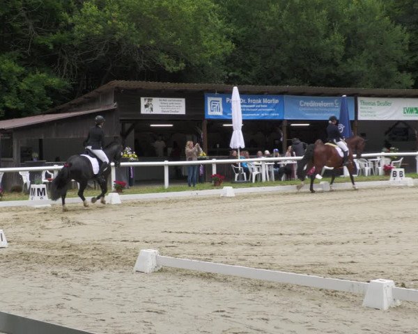 Reitturnier Hünfelden-Kirberg 2022