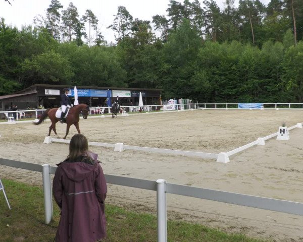 Reitturnier Hünfelden-Kirberg 2022