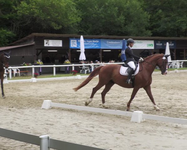 Reitturnier Hünfelden-Kirberg 2022