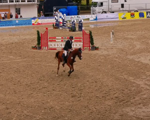 Reitturnier Redefin 2022