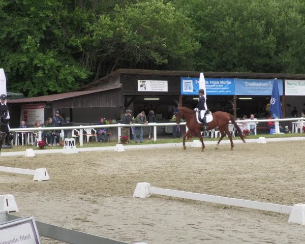 Reitturnier Hünfelden-Kirberg 2022