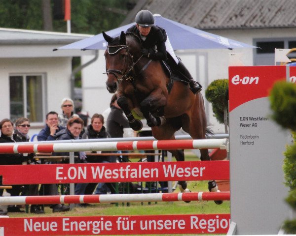 Springpferd Collien K (Westfale, 2006, von Collin L)