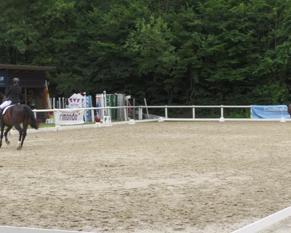 Reitturnier Hünfelden-Kirberg 2022