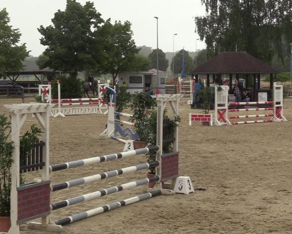 Reitturnier Münster-Roxel 2022