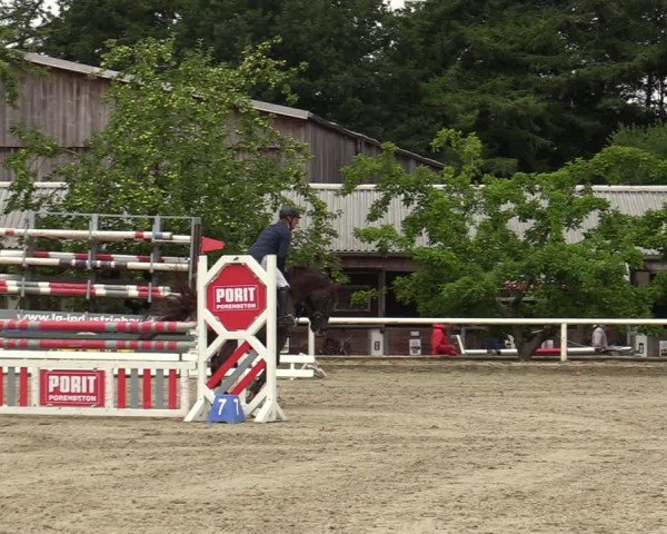 Reitturnier Haren-Raken 2022