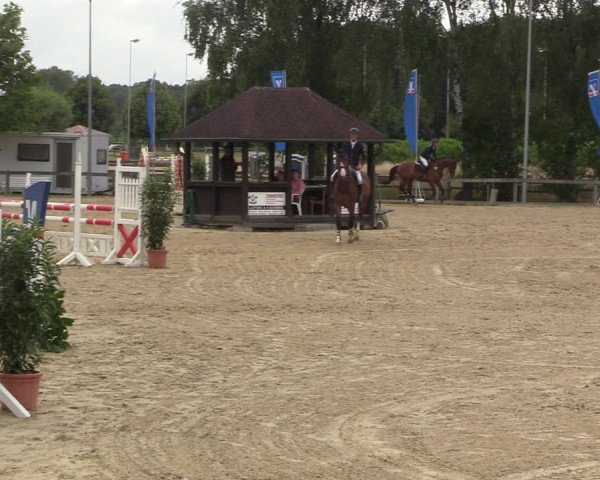 Reitturnier Münster-Roxel 2022