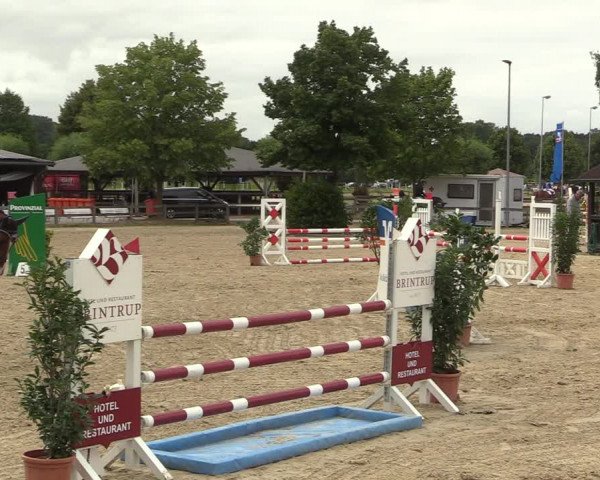 Reitturnier Münster-Roxel 2022