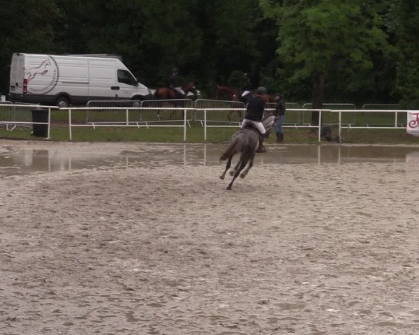 Reitturnier Prussendorf 2022