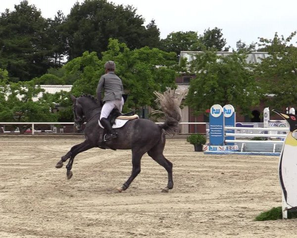 Reitturnier Haren-Raken 2022