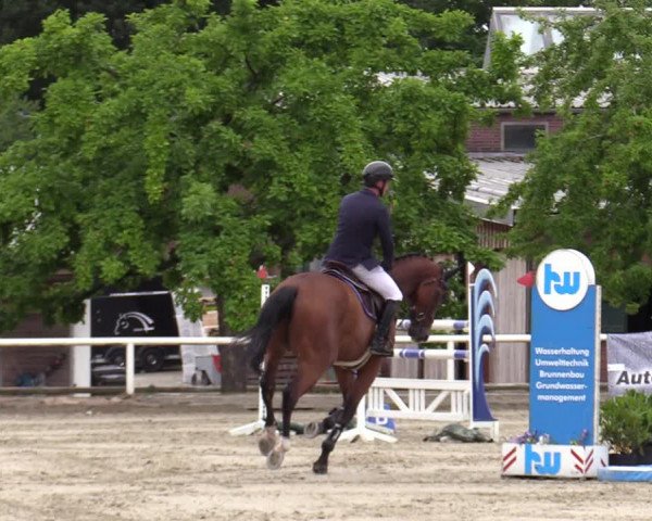 Reitturnier Haren-Raken 2022