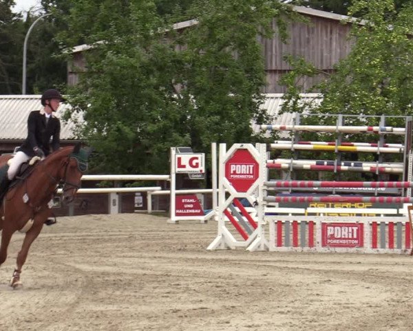 Reitturnier Haren-Raken 2022