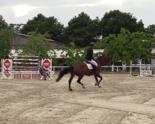 Reitturnier Haren-Raken 2022