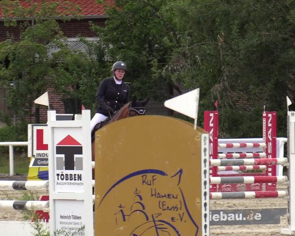 Reitturnier Haren-Raken 2022