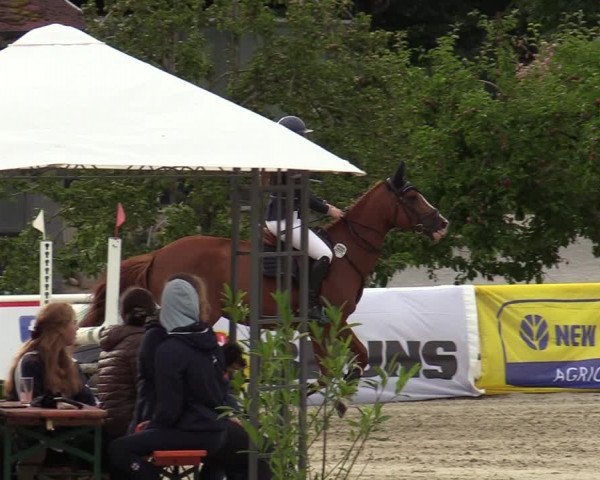 Reitturnier Haren-Raken 2022