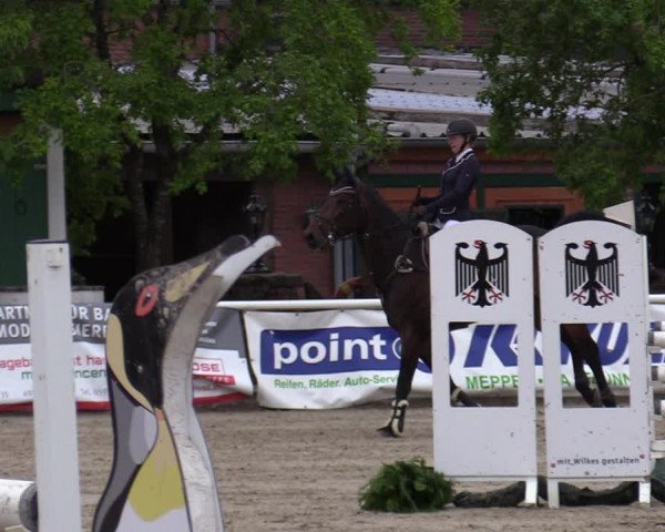 Reitturnier Haren-Raken 2022