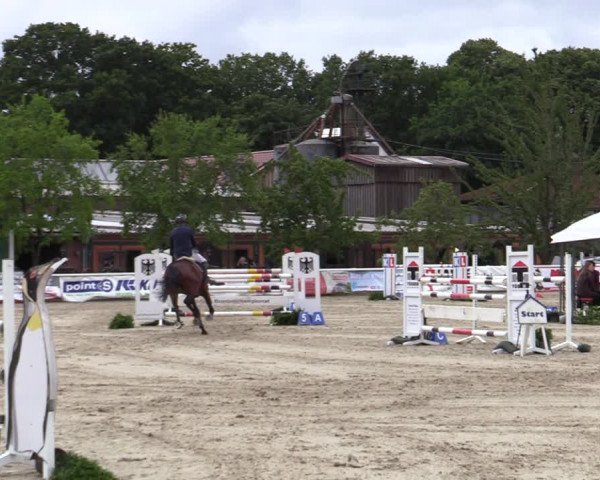 Reitturnier Haren-Raken 2022
