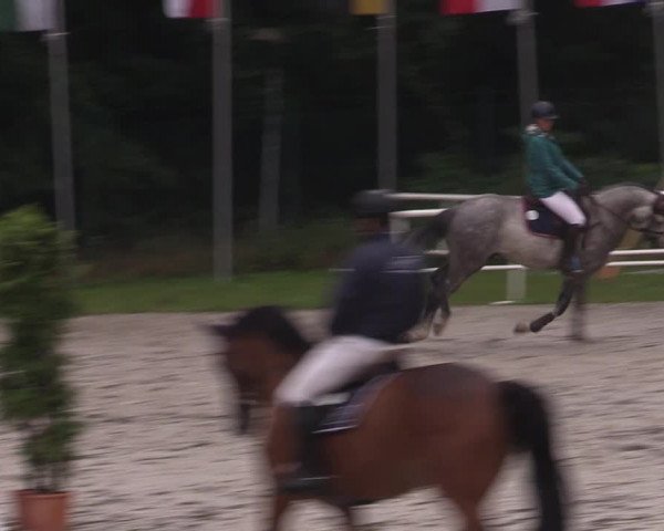 Reitturnier Prussendorf 2022