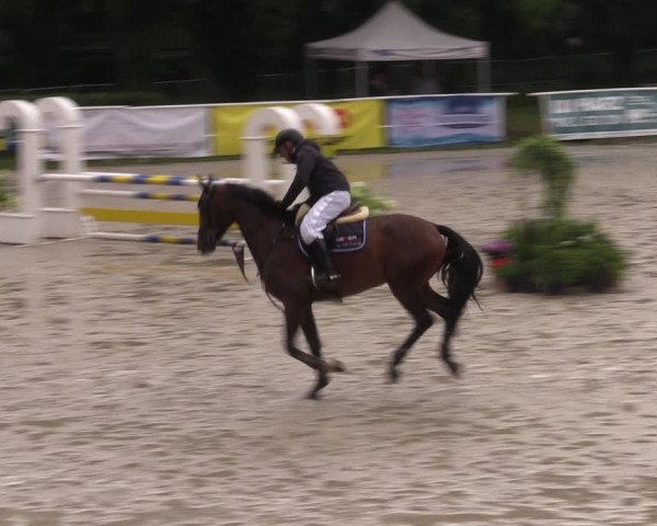Reitturnier Prussendorf 2022
