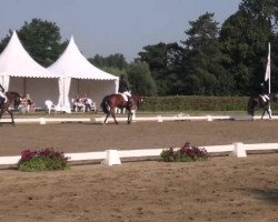 dressage horse Little Lollypop (Westphalian, 2008, from Lissabon 29)