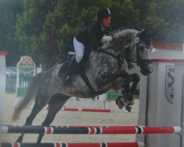 jumper Cox 13 (Württemberger, 2004, from Candillo Z)