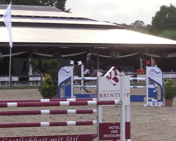 Reitturnier Münster-Roxel 2022