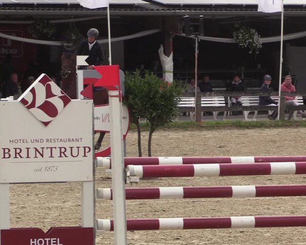 Reitturnier Münster-Roxel 2022