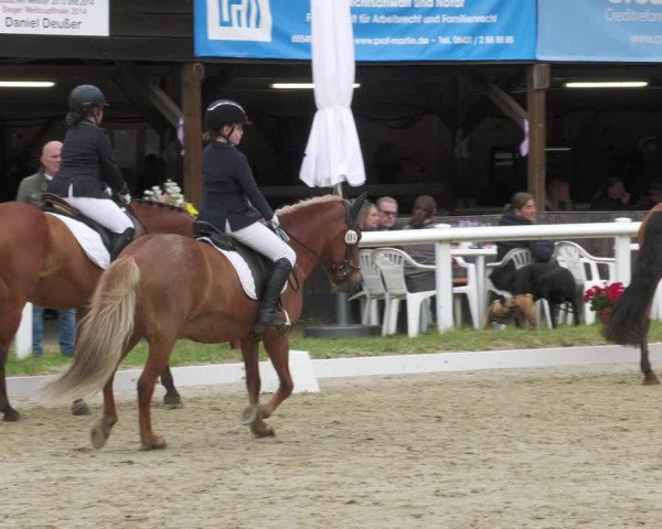 Reitturnier Hünfelden-Kirberg 2022