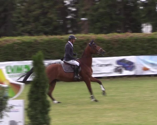 Reitturnier Moringen 2022
