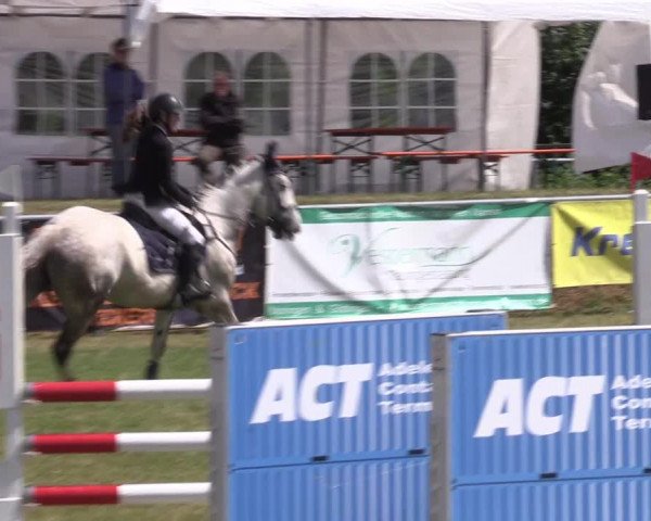 Reitturnier Moringen 2022