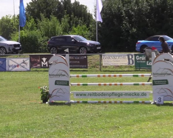 Reitturnier Moringen 2022