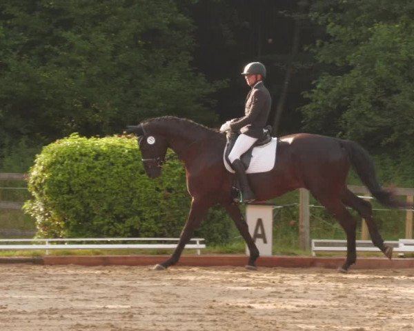 Reitturnier Nürtingen 2022