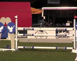 stallion Coester 4 (Oldenburg, 2006, from Coupe de Coeur 2)