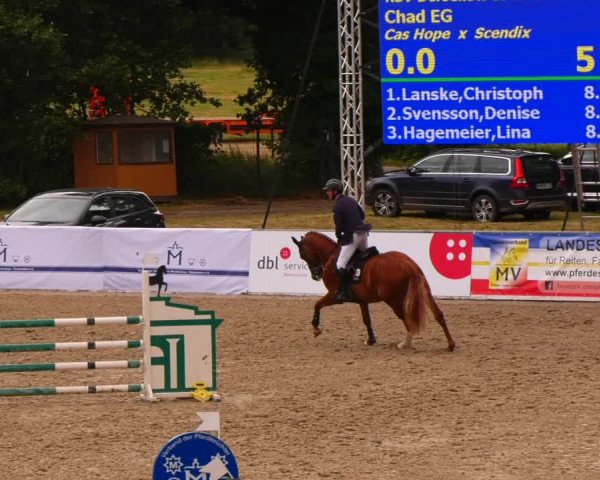 Reitturnier Redefin 2022