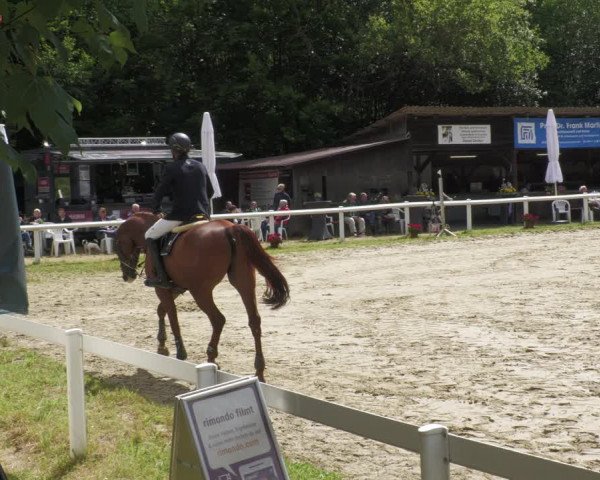 Reitturnier Hünfelden-Kirberg 2022